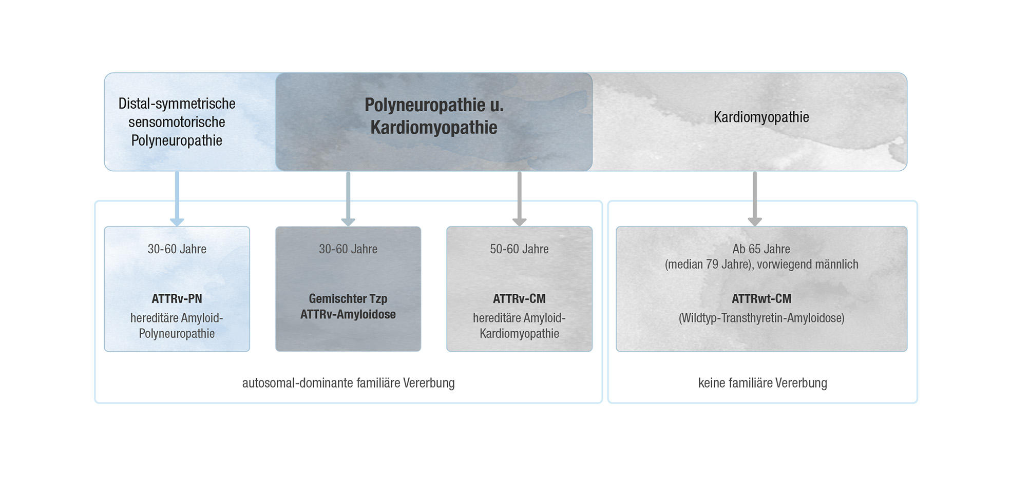 distal symmetric