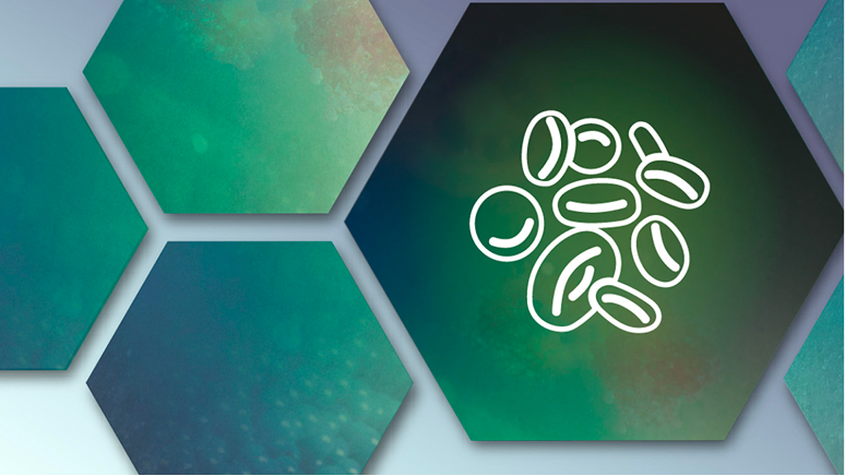Haematologie-Blutzellensymbol