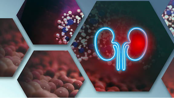 Chronische Nierenerkrankung Nieren Symbol