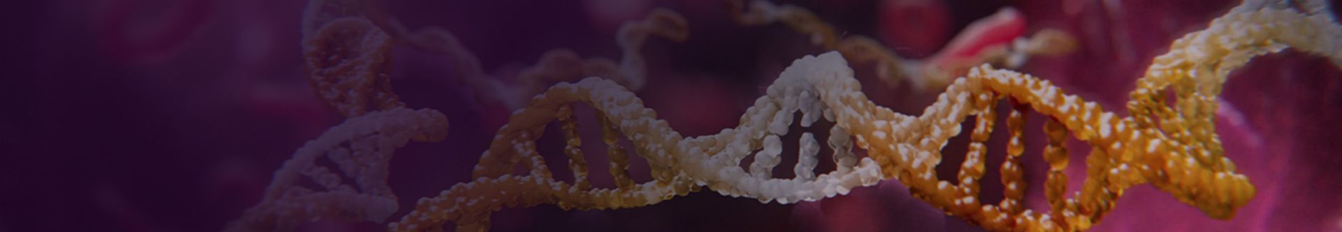 Lupus erythematodes banner bild