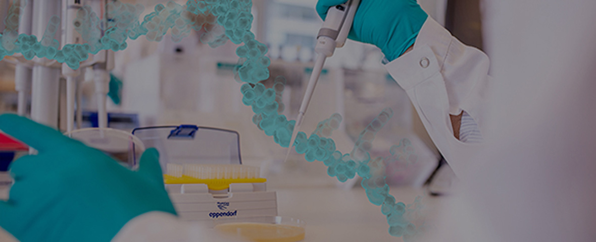 Produkt informationen banner