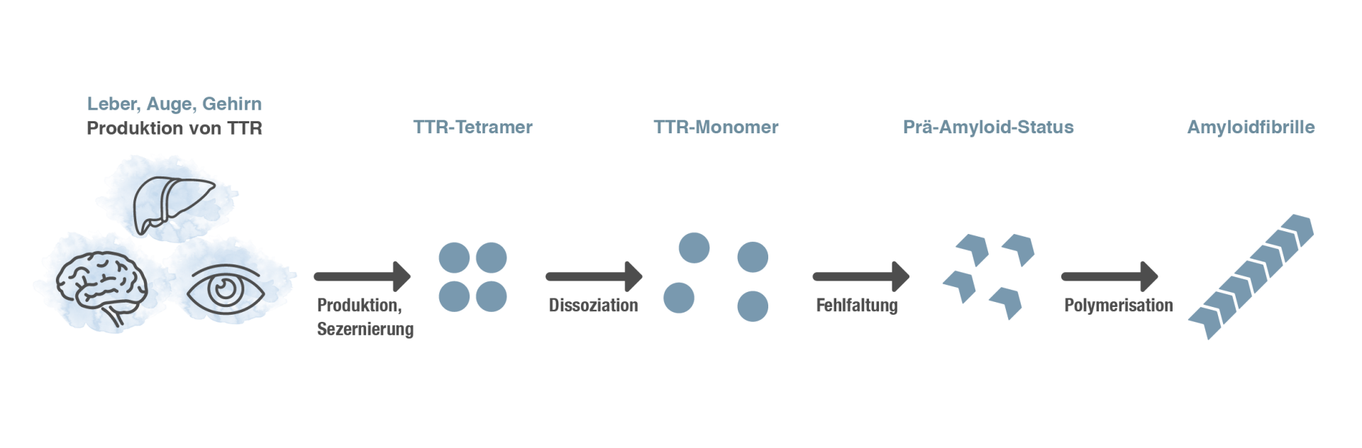 ttr