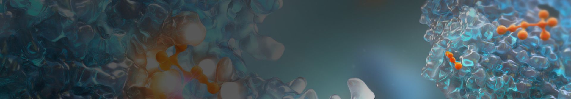 Transthyretin amyloidose banner bild