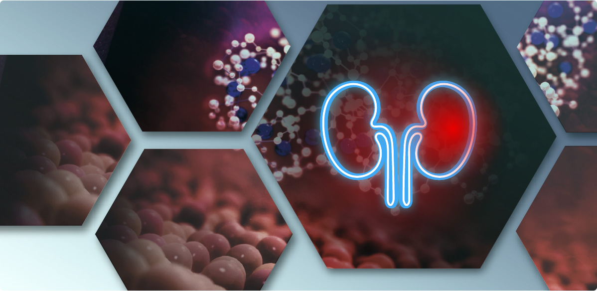 Symptome CKD