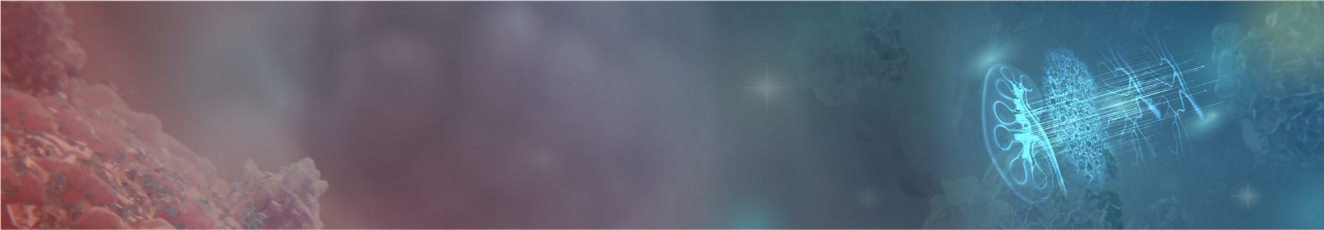 Chronische nierenerkrankung banner bild