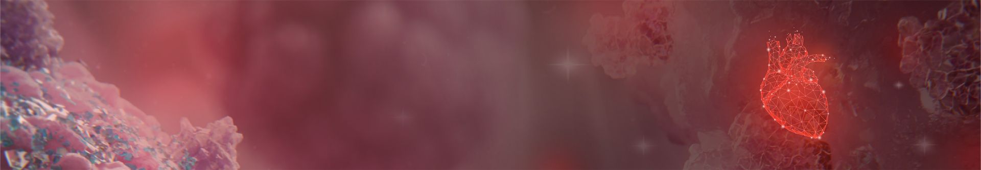 Herzinsuffizienz banner bild