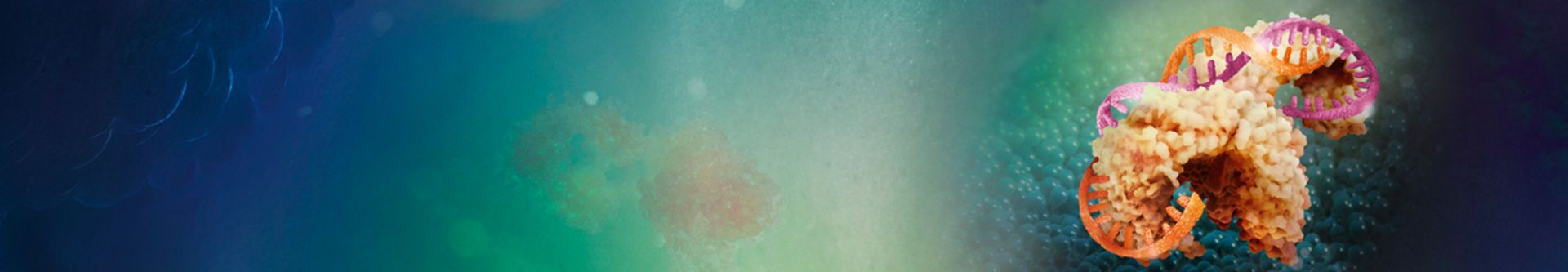Asthma banner bild