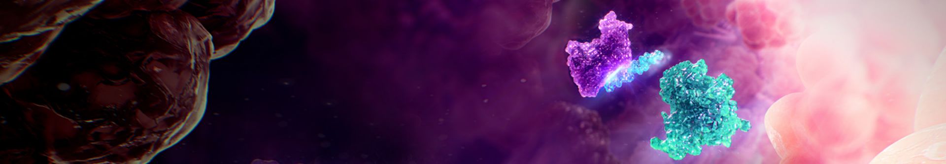 Lungenerkrankung banner bild
